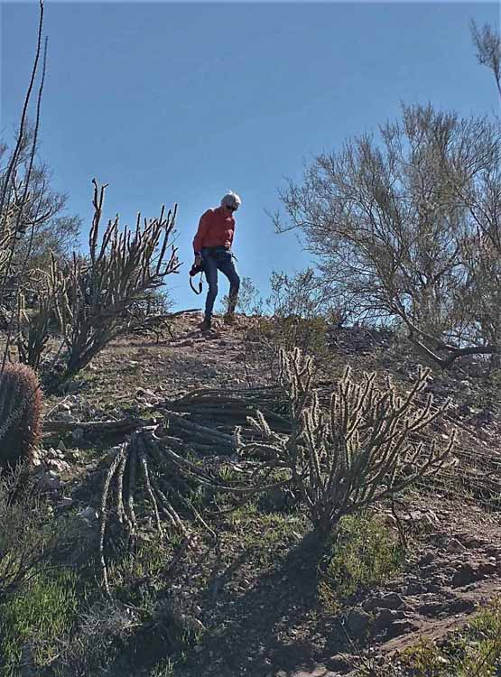 hiker